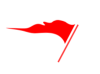 猫的巢晏 小型幼犬3KG